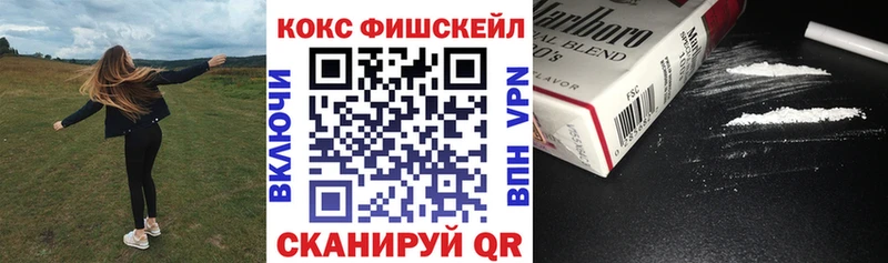 МЕГА tor Заречный Cocaine FishScale где купить наркотик