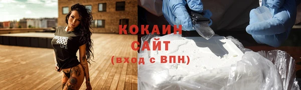 гидра Алзамай