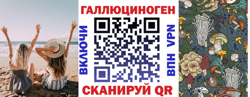 omg ТОР  Заречный  Галлюциногенные грибы MAGIC MUSHROOMS 